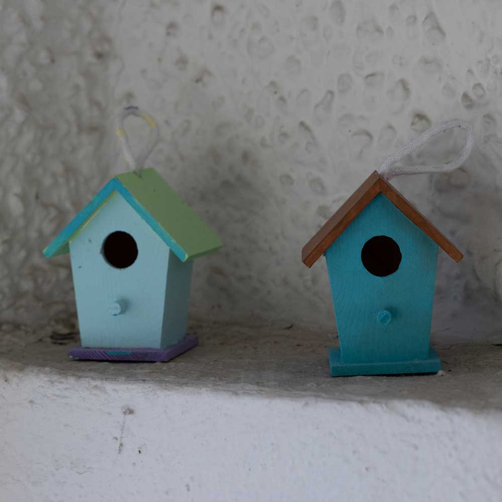 2 blue bird houses