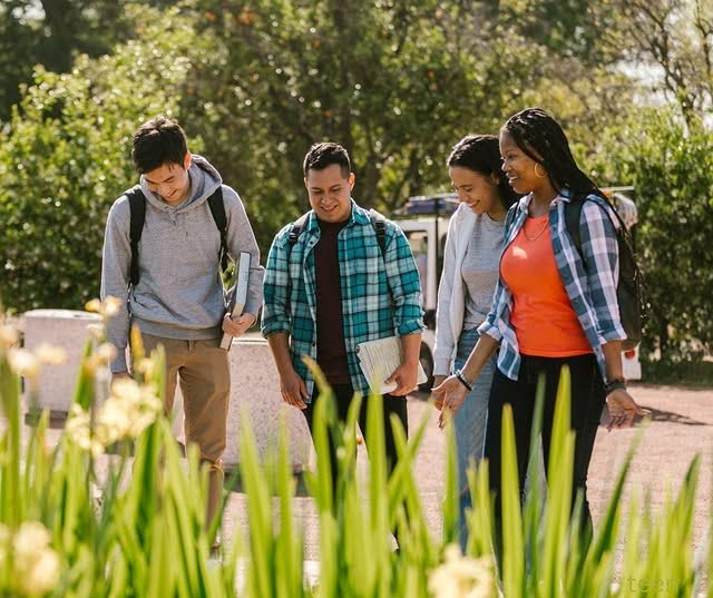 Treating Teen Substance Abuse and Mental Health: The Importance of Dual Diagnosis Care