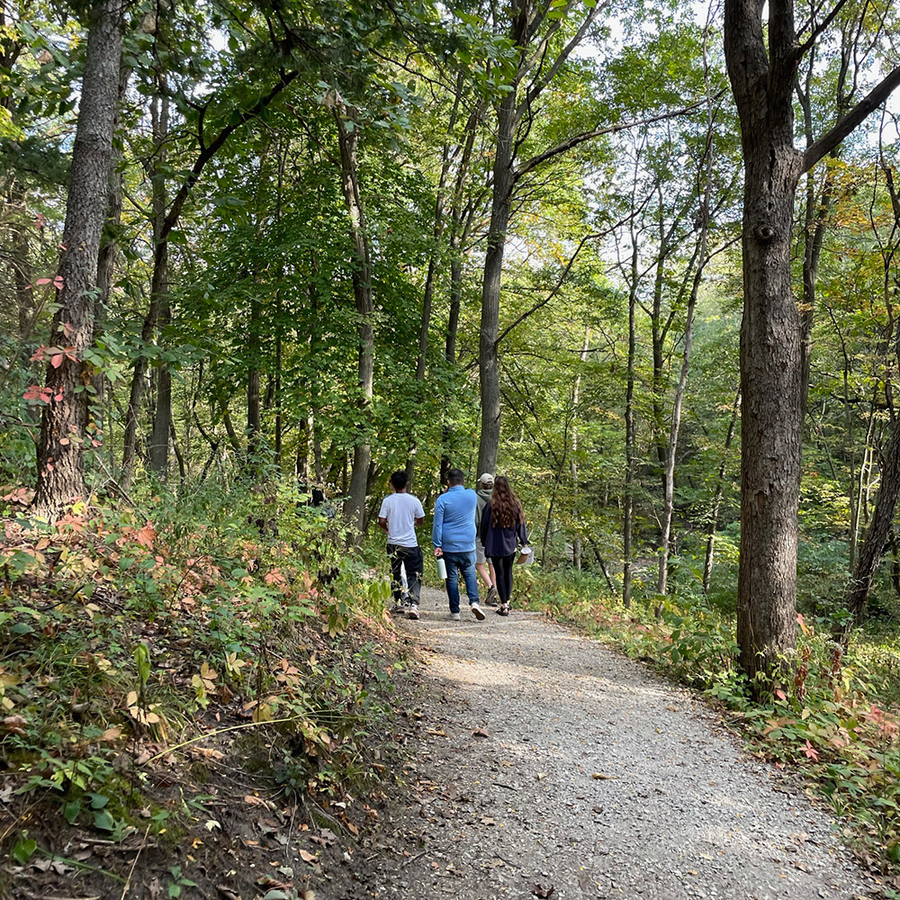 Adolescent and Young Adults Dual Diagnosis Treatment